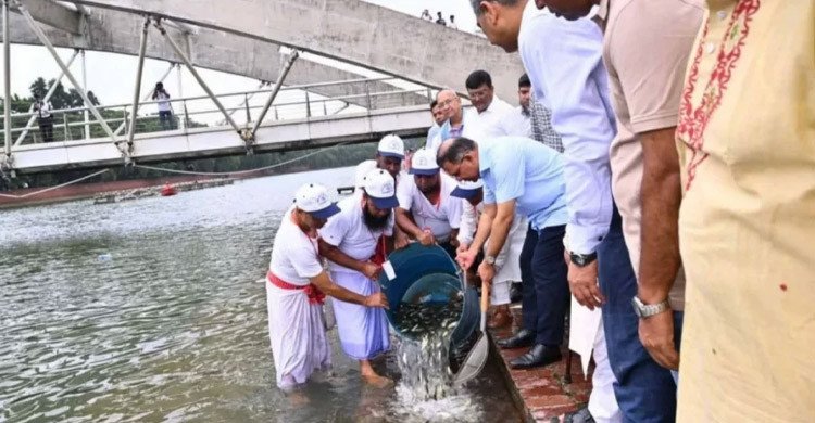 বিএনপির প্রতিষ্ঠাবার্ষিকীতে জিয়া উদ্যানের জলাশয়ে মৎস্য অবমুক্ত করলেন প্রধানমন্ত্রী